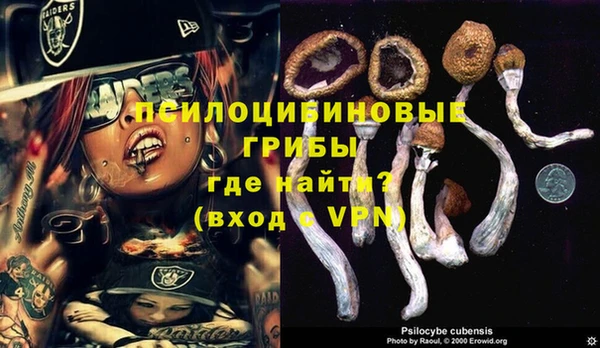 первитин Арсеньев