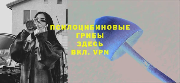 первитин Арсеньев