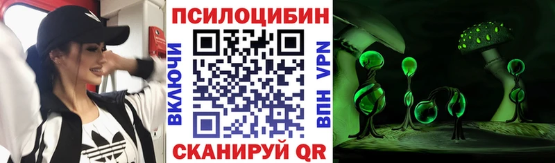 купить закладку  Светлоград  Псилоцибиновые грибы Cubensis 