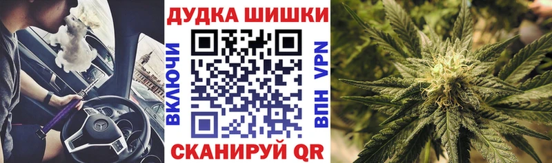 Канабис сатива  Светлоград 